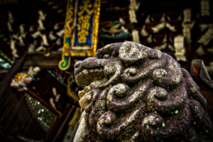 _dsc6560-bearbeitet